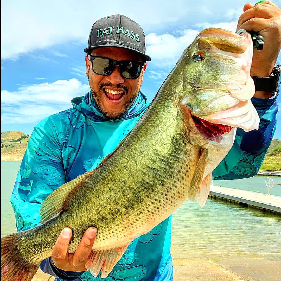 monster FAT BASS